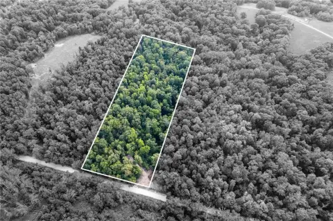 Bentonville Land with Mature Trees