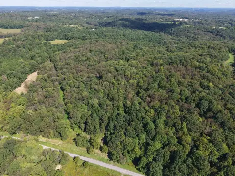Hunting Land with Natural Springs