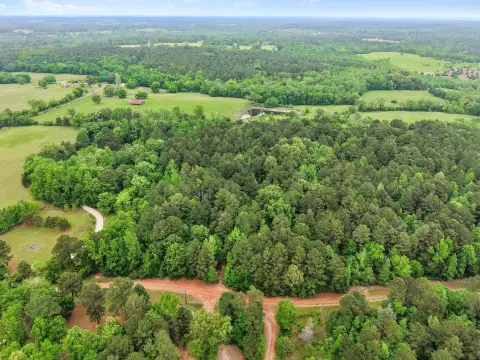 Secluded Acreage in Gilmer, Texas