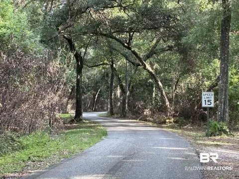 Wooded Creekside Land