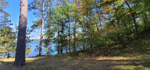 Lakefront Wooded Land