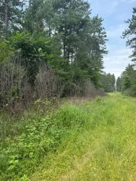 Wooded Waterfront Recreational Land