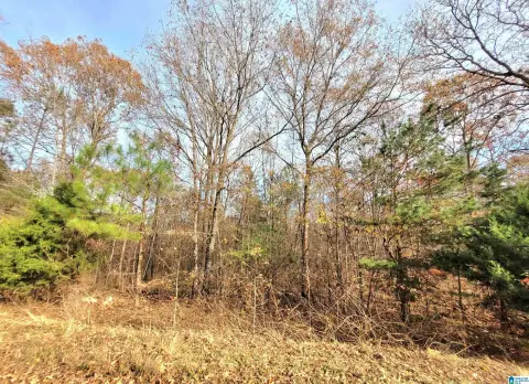34 Acres in Munford, AL