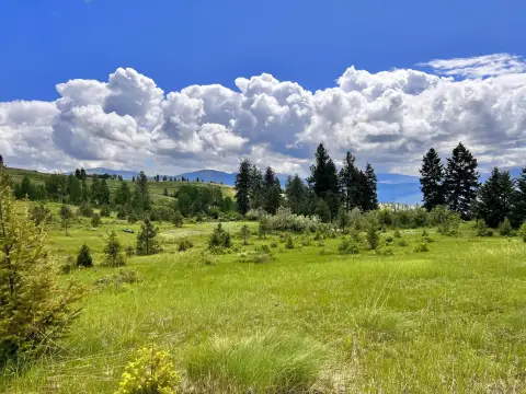 Curlew Acreage with Mountain Views