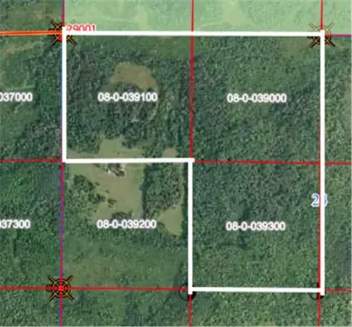 Wooded Hunting Land with Lake Neighbor