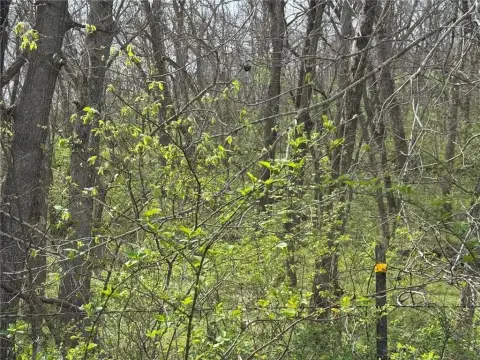 Secluded Warrensburg Land for Sale