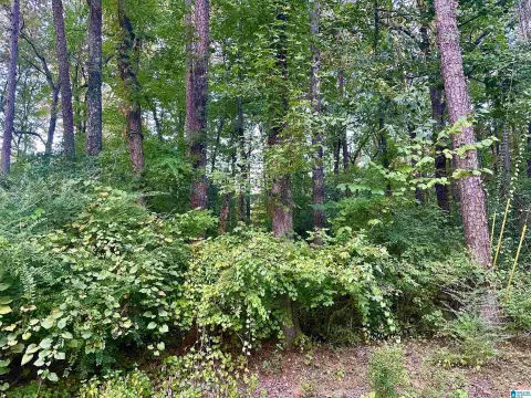Birmingham Land Parcel For Sale