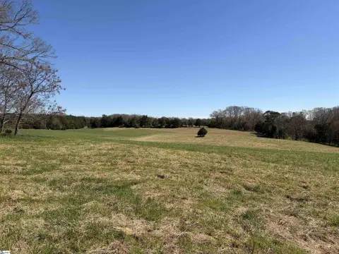 Abbeville County Mini-Farm Homesite