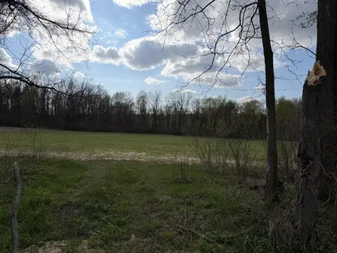 Allegan Land with Build Site