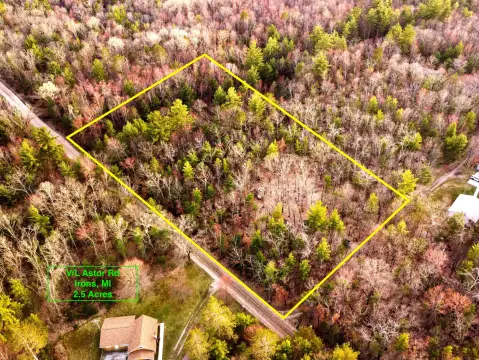 Land in Michigan Wilderness