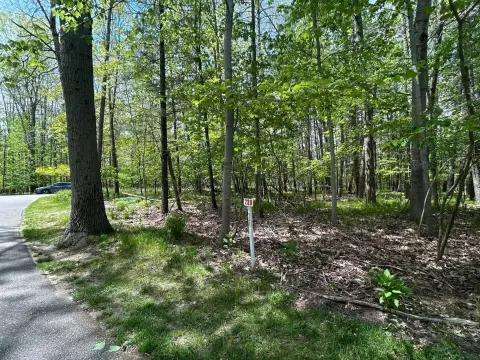 Wooded Lot in Canadian Lakes