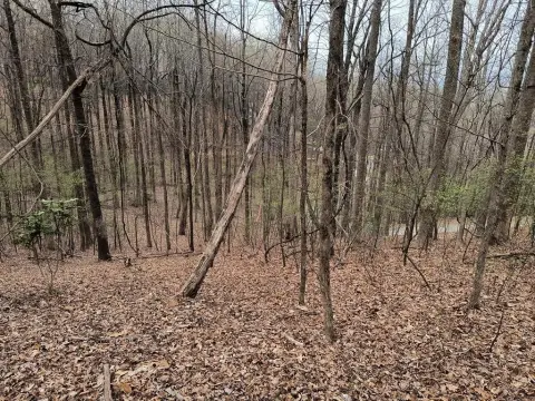 Ellijay, GA Vacant Lot