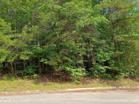 Residential Lot in Swan Harbor