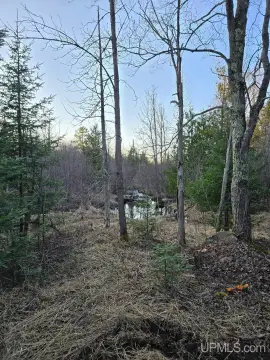 Cleared Waterfront Land with Firepit