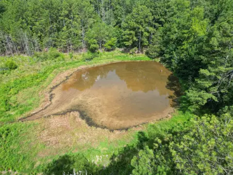 Timber and Recreational Hunting Tract