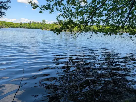 Waterfront Land Near Stanley, Wisconsin