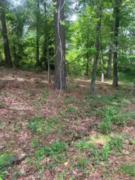 Residential Lot Near Lake