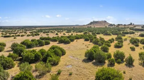 Scenic Land in Iredell, Texas