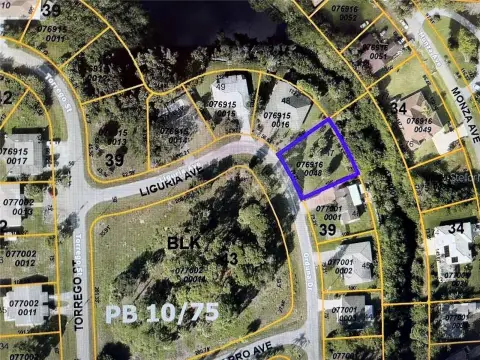 Residential Land in Growing North Port