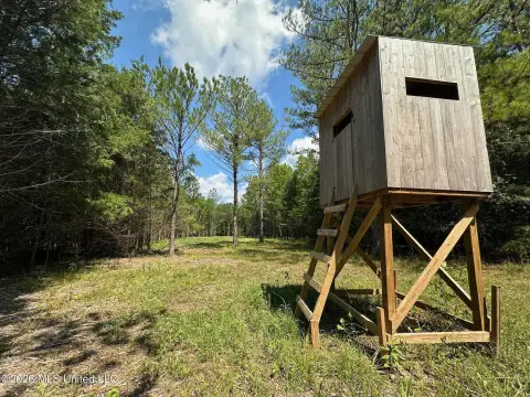 Timber Hunting Tract with Food Plot