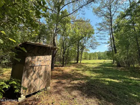 Timberland with Creek Frontage