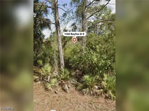 Commercial Land
