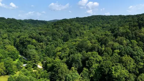 Creek-Front Hunting Tract