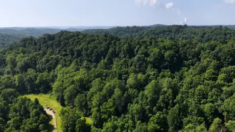 Timbered Land with Creek Edge
