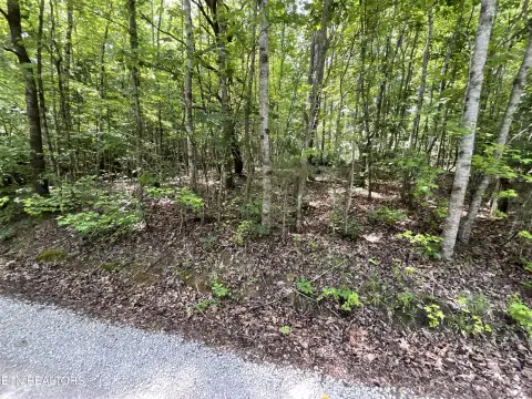 Rockwood Land with Lake Access