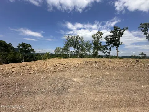Waterfront Land in Tazewell, TN