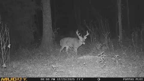 Bottomland Hardwood Hunting Tract