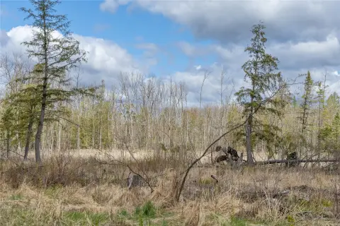 Glen Flora Hunting Land For Sale