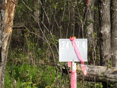 Land Near Red Cedar Lake