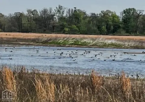 Arkansas Black River Acreage