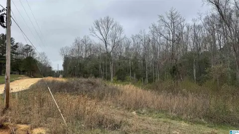 Maplesville Wooded Land Tract