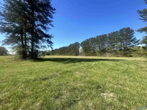Residential Lot in Limestone County