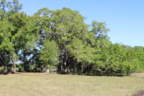 Land with Frontage on County Road