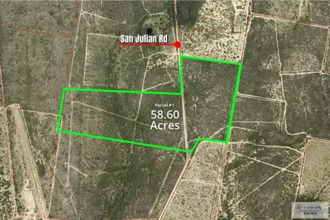 Roma, TX Agricultural Land