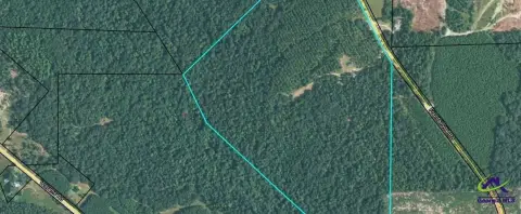 Secluded Hunting Property with Home