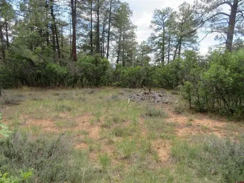 Pagosa Springs Residential Land