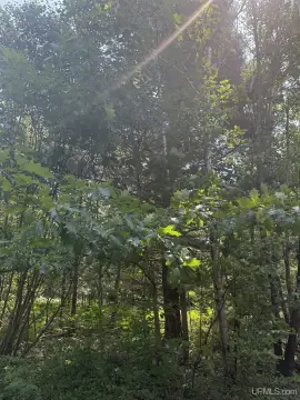 Wooded Acreage with Electric Garage