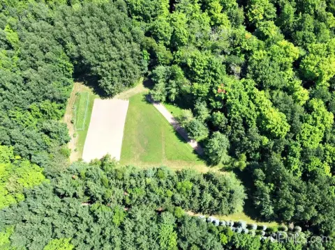 Deer and Bear Hunting Land with Four Food Plots