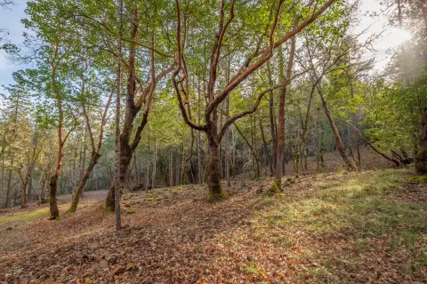 Secluded Lot Ready to Build