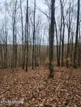 5.05 Acres in Ten Mile