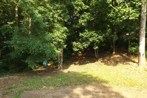 Land For Sale, Seymour, TN