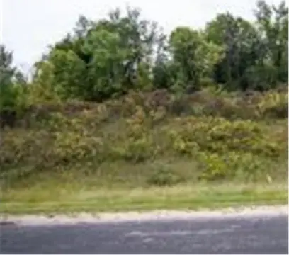Land for Sale, Spring Lake