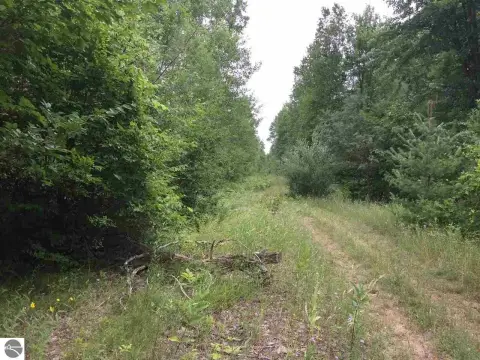 Wooded Hunting Land with Stand