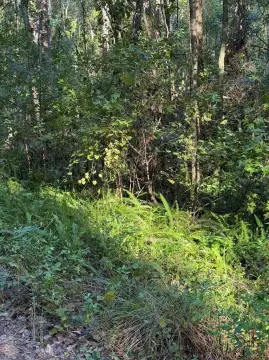 Vacant Land in Ocala, FL