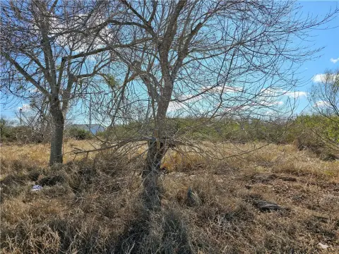 Bayside, TX Land For Sale