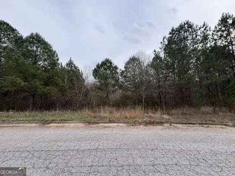 Locust Grove Land For Sale